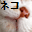  �l�R�i�L���`